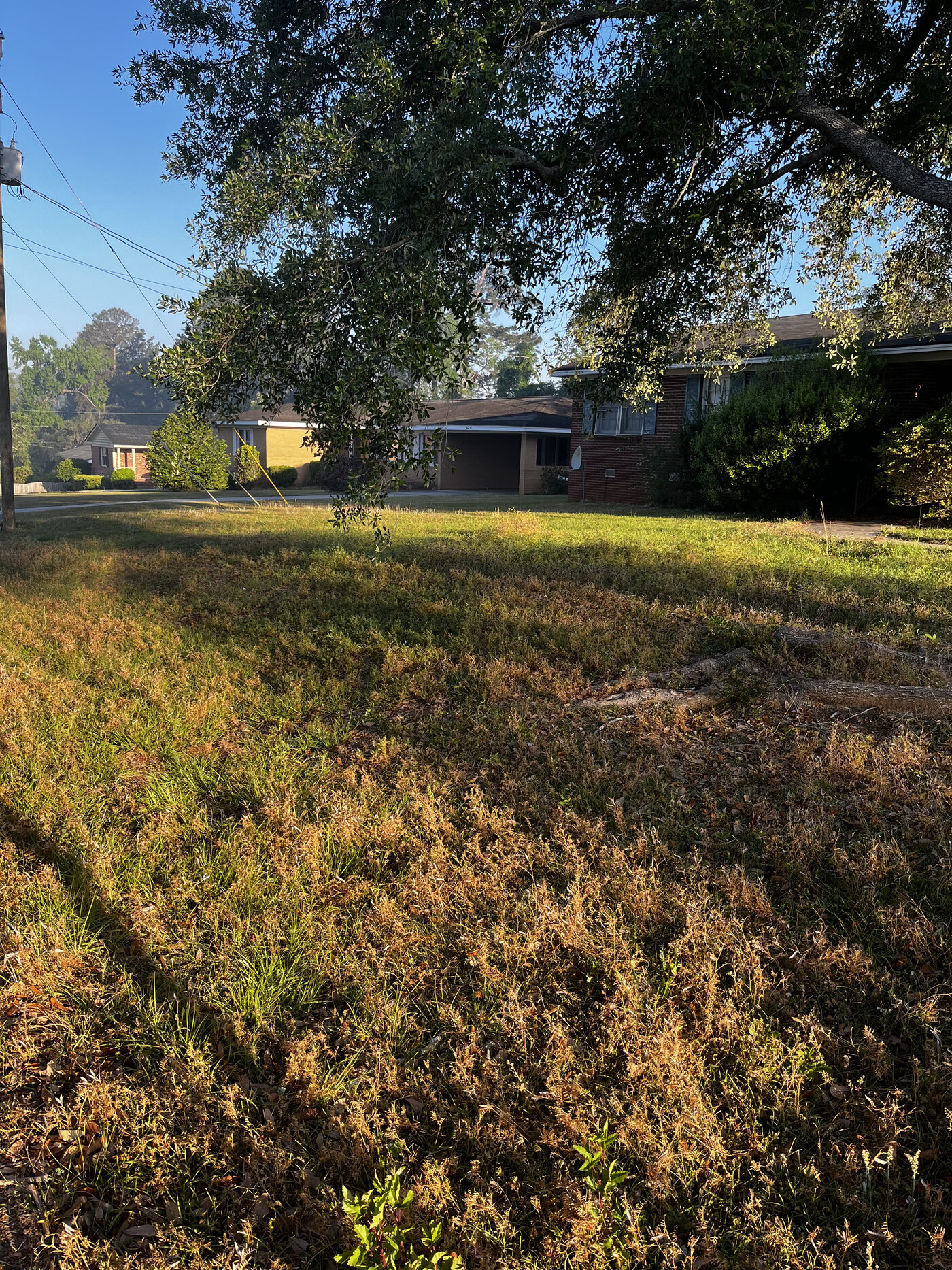 Lawn Restoration – Before