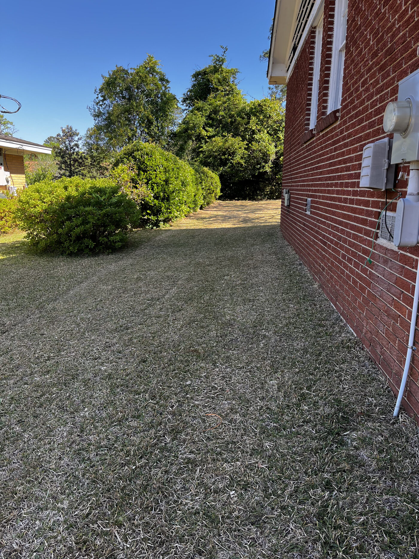 Lawn Restoration – landscape cleanup photo 10