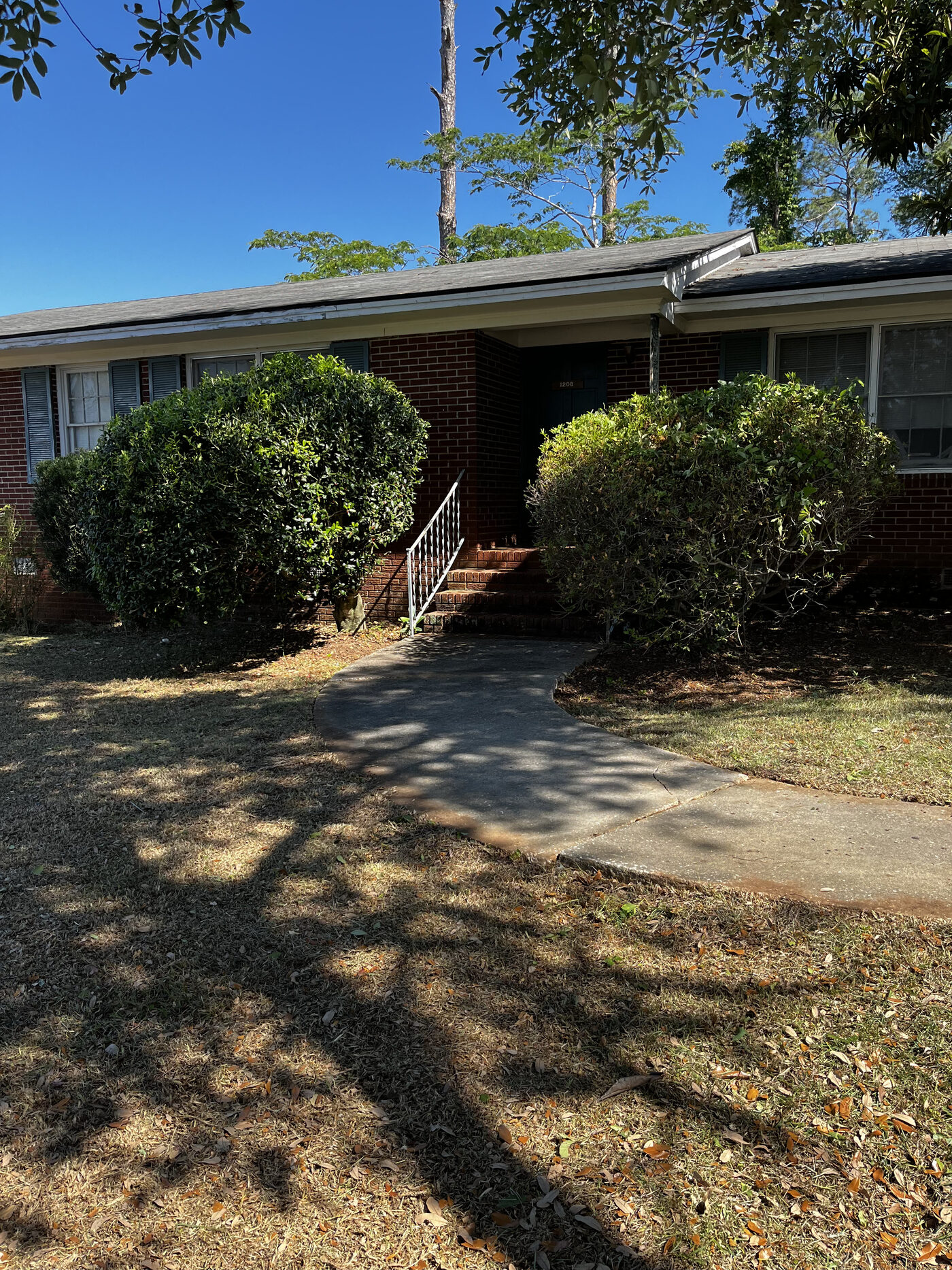 Lawn Restoration – landscape cleanup photo 11