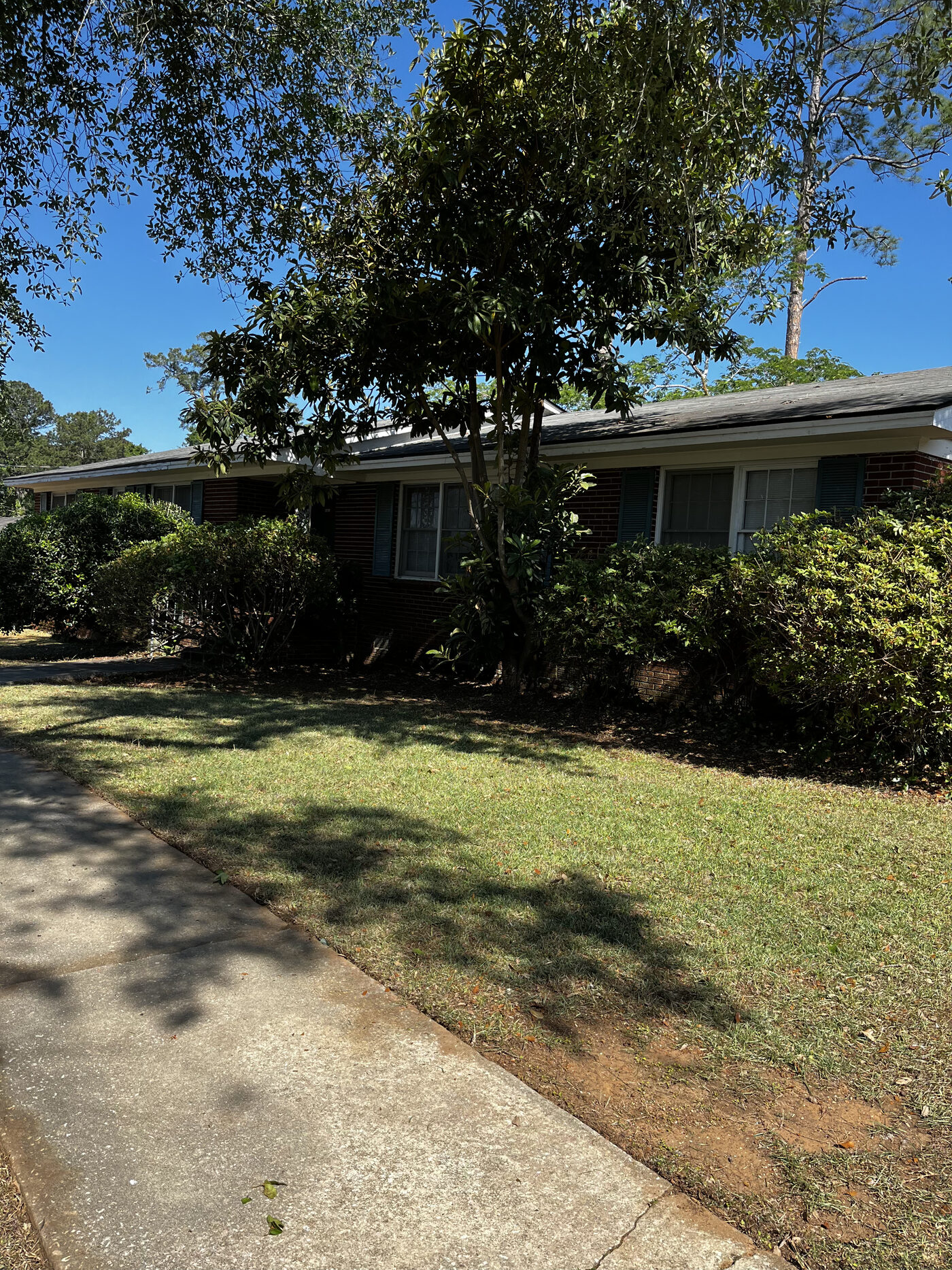 Lawn Restoration – landscape cleanup photo 12