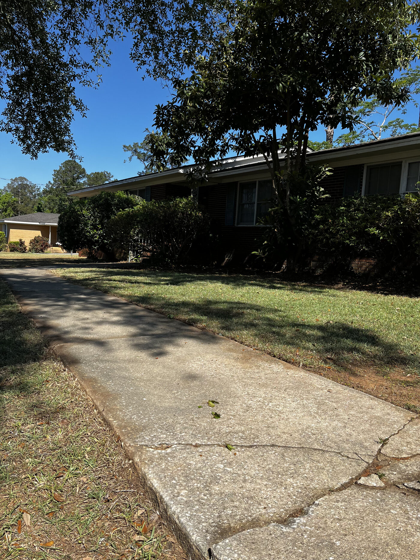Lawn Restoration – landscape cleanup photo 13