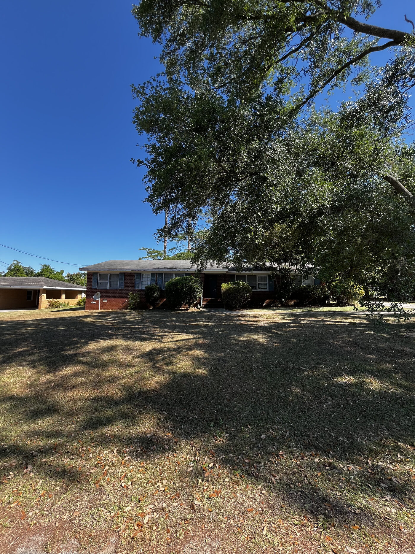 Lawn Restoration – landscape cleanup photo 15