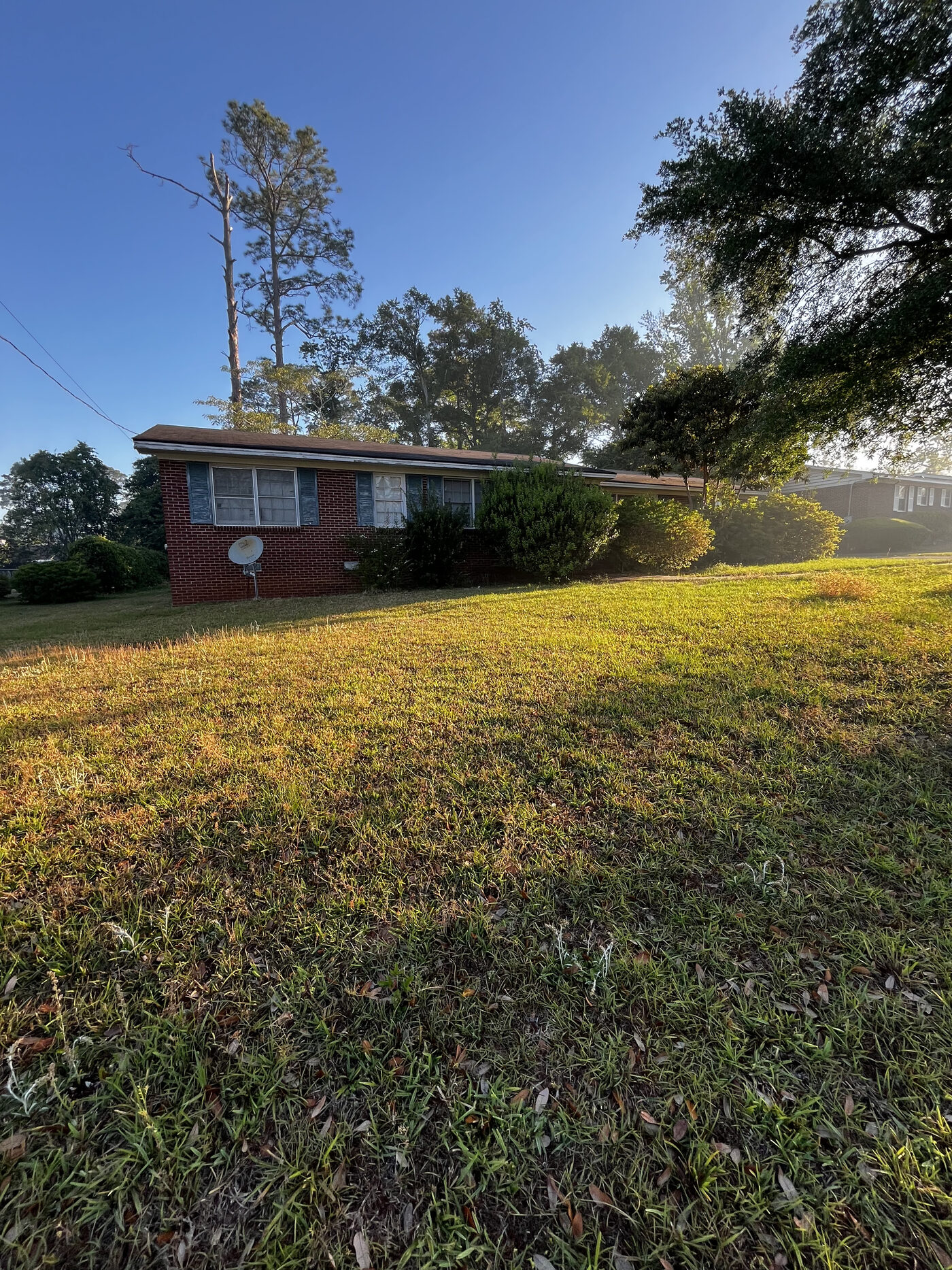 Lawn Restoration – landscape cleanup photo 3