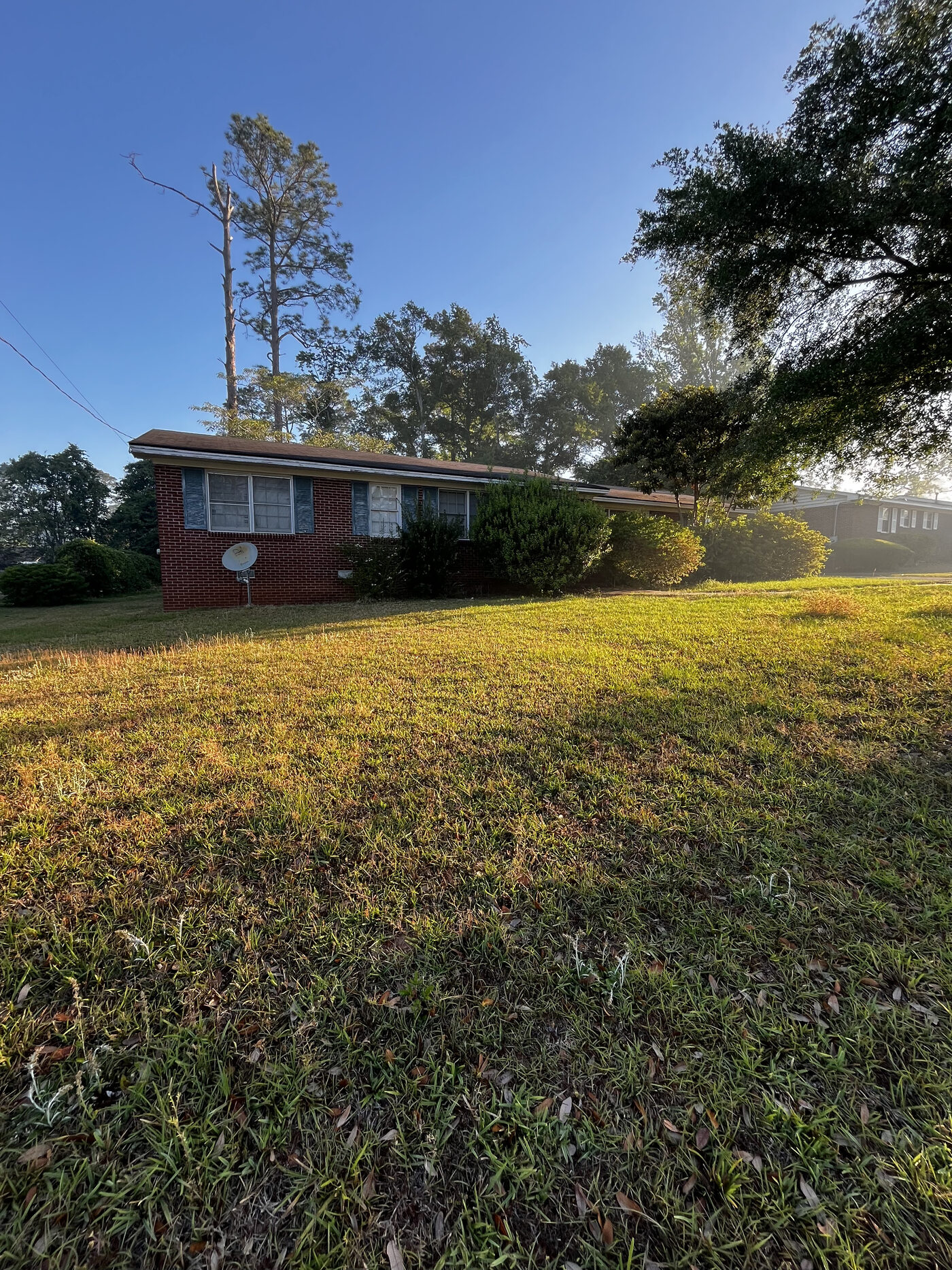 Lawn Restoration – landscape cleanup photo 4