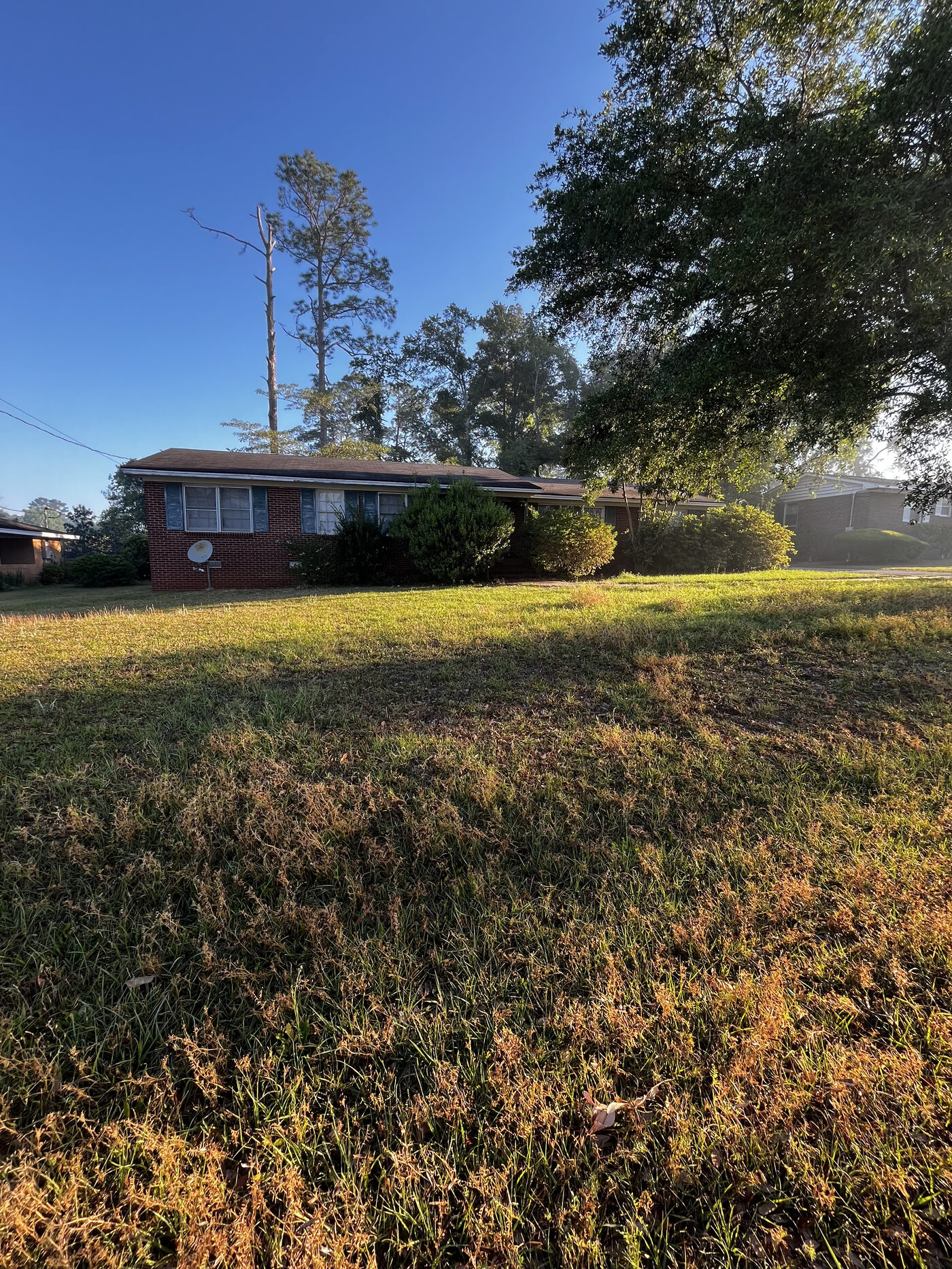 Lawn Restoration – landscape cleanup photo 6