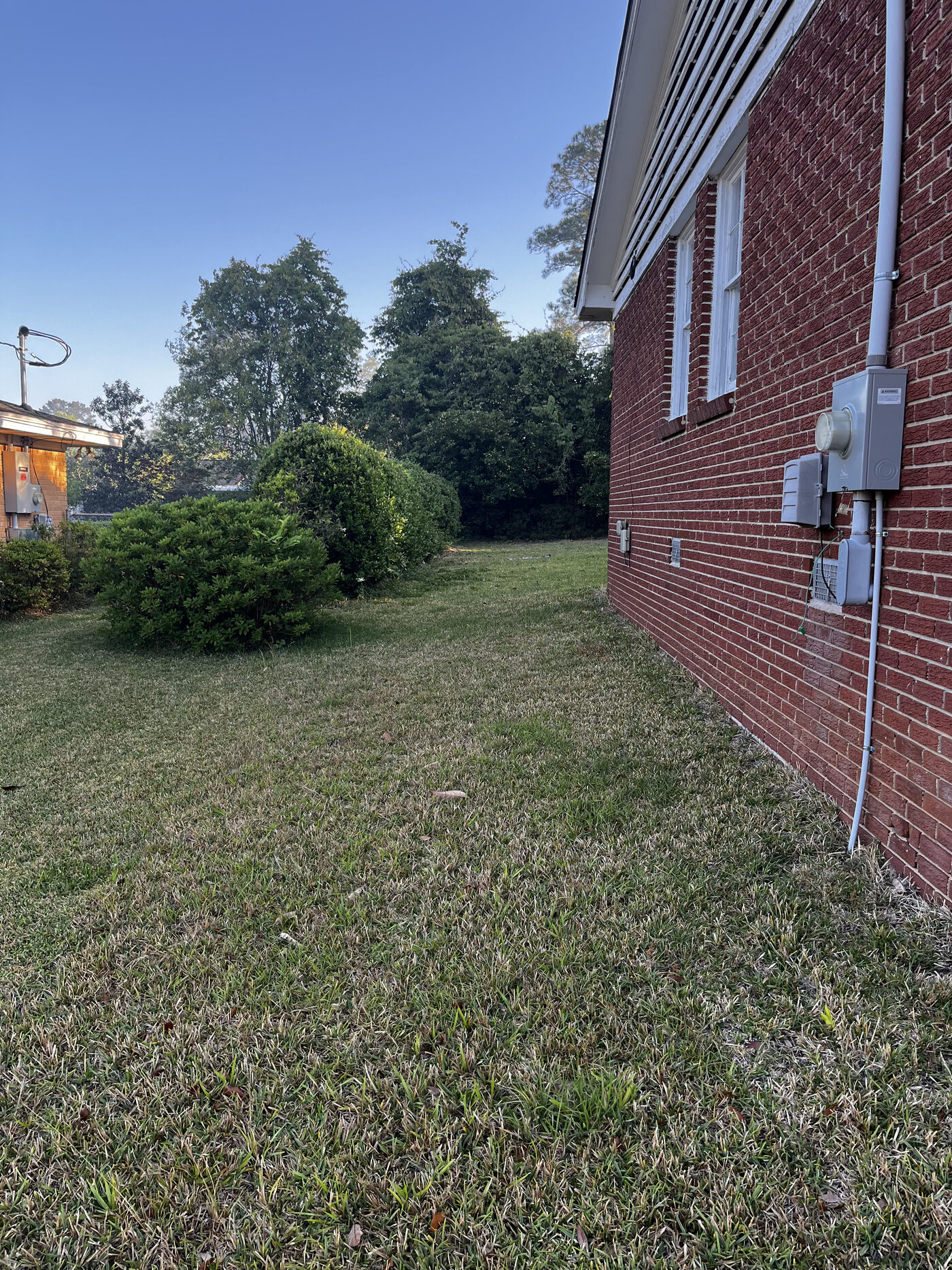 Lawn Restoration – landscape cleanup photo 7