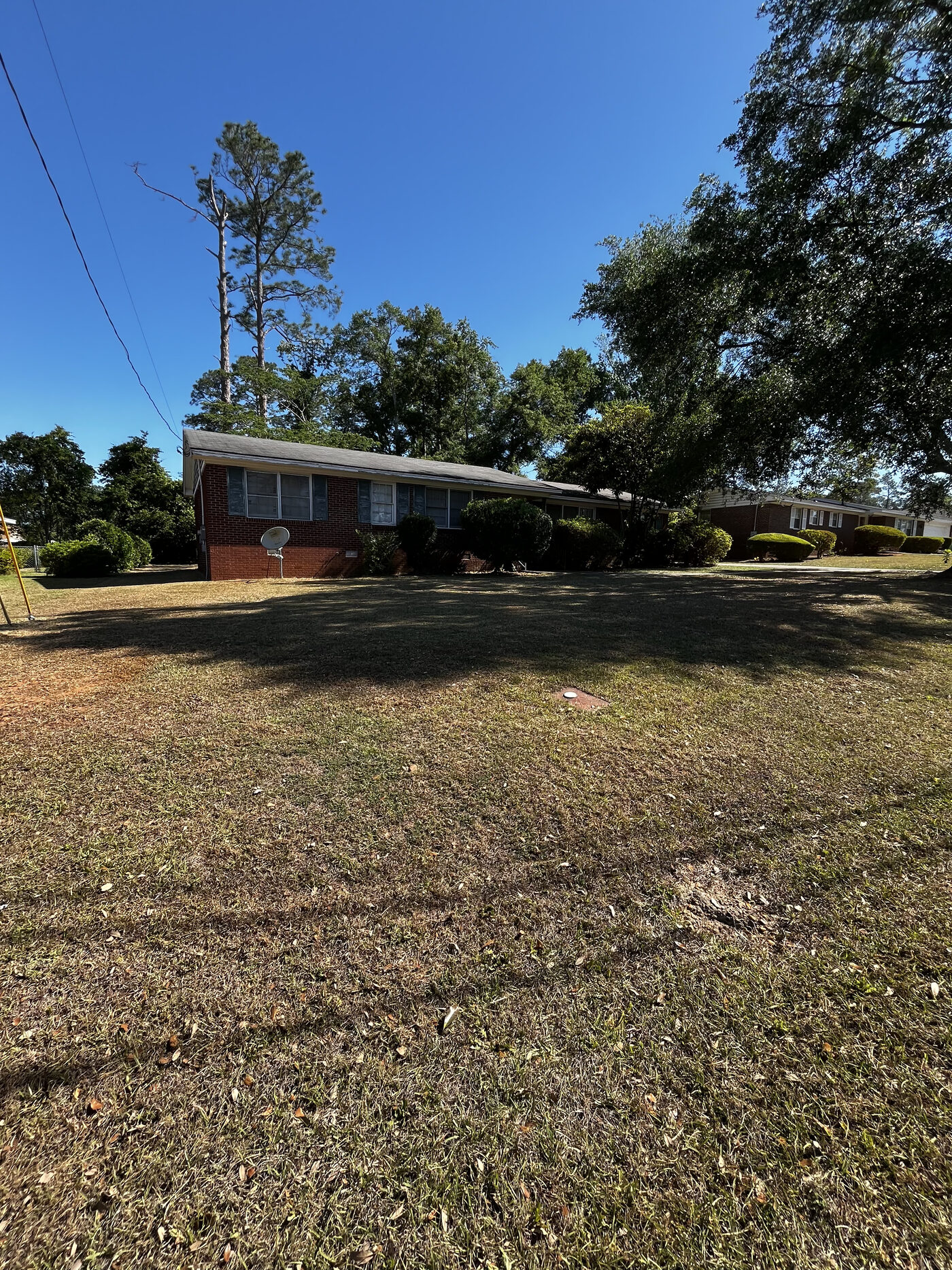 Lawn Restoration – In Progress