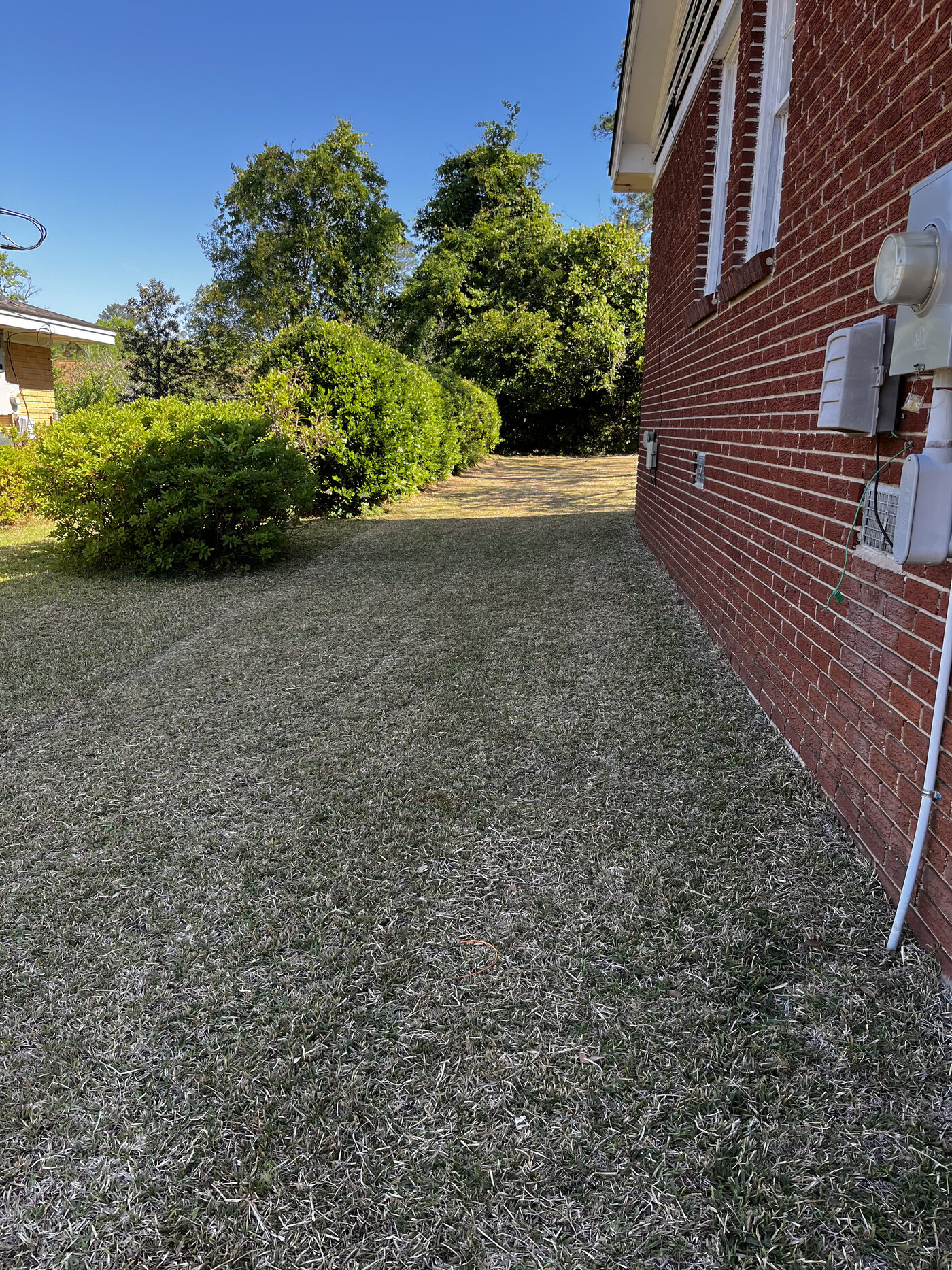 Lawn Restoration – landscape cleanup photo 9