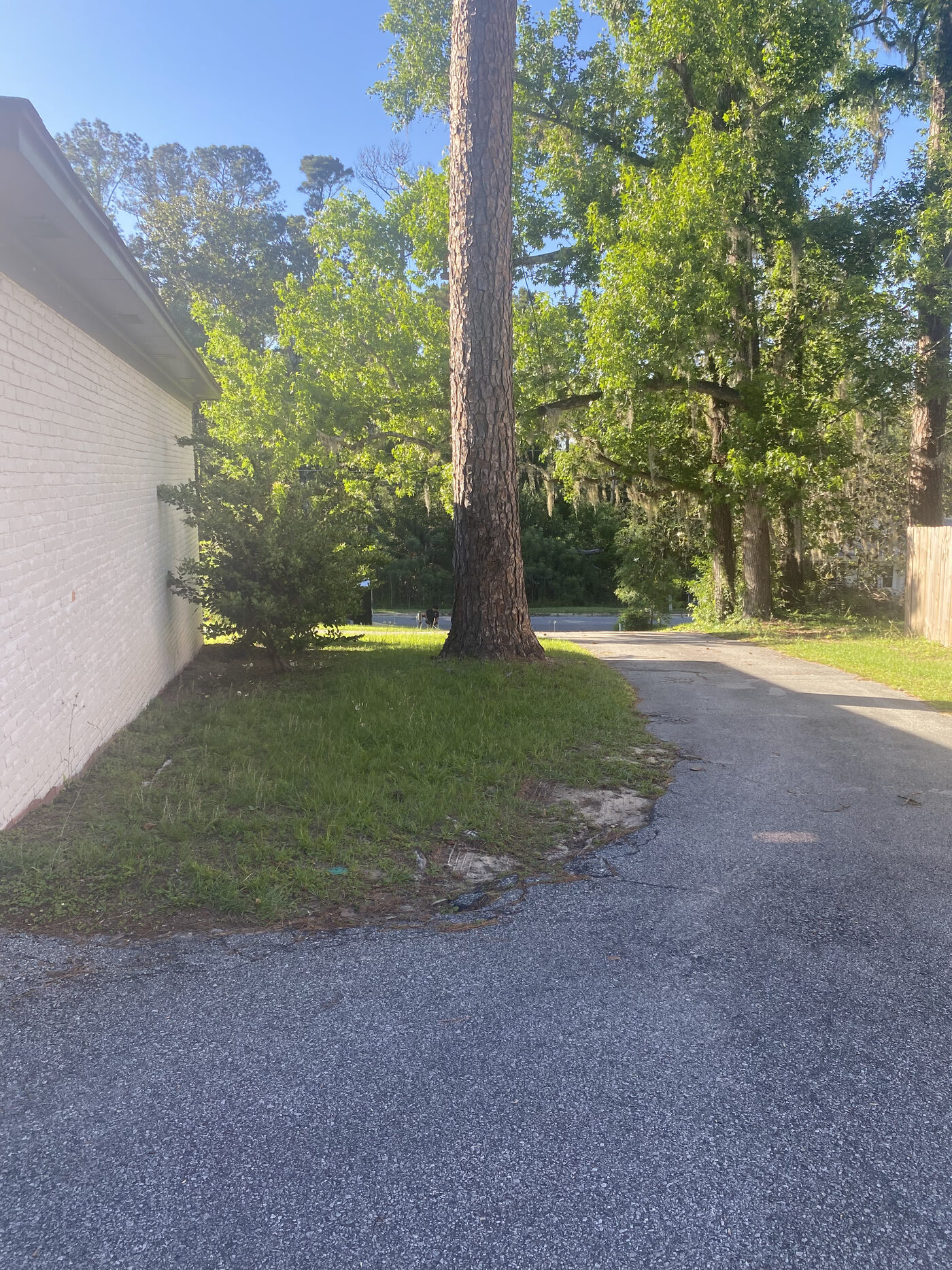 Property Cleanup – Before