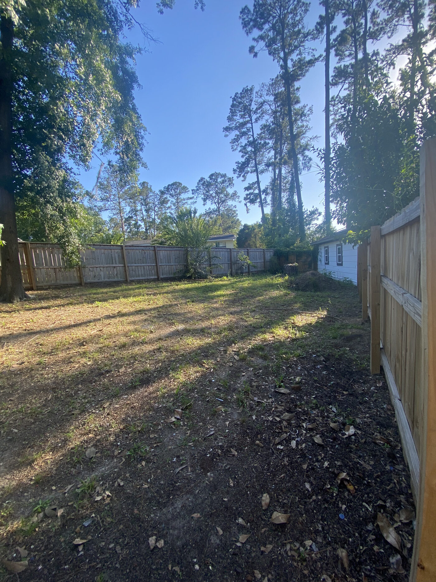 Property Cleanup – property cleanup photo 2