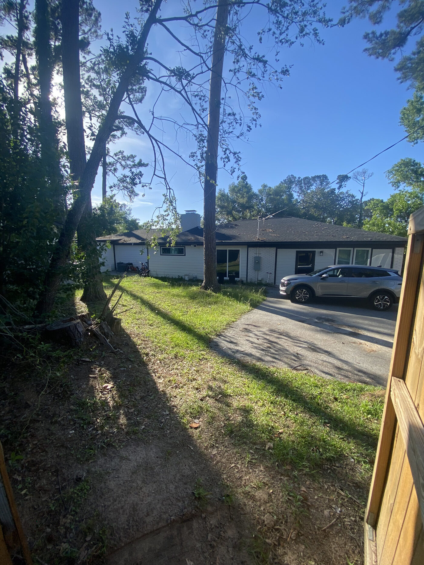 Property Cleanup – property cleanup photo 3
