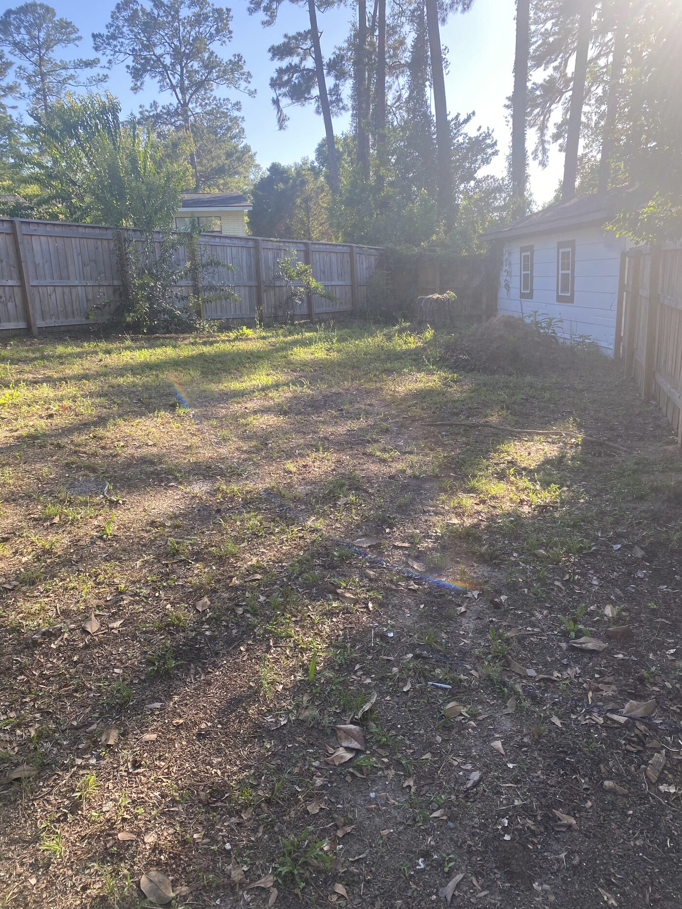 Property Cleanup – property cleanup photo 4